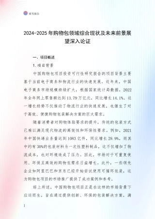 2024-2025年购物包领域综合现状及未来前景展望深入论证