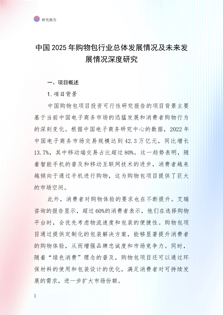 中国2025年购物包行业总体发展情况及未来发展情况深度研究_第1页