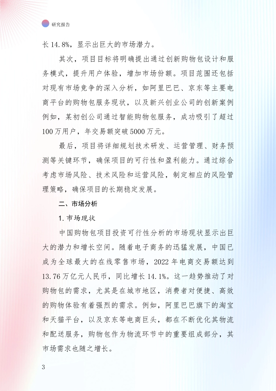 2024年-2025年购物包行业市场前景及未来的发展趋势深入分析报告_第3页