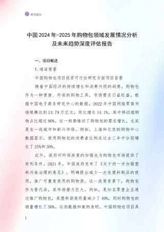中国2024年-2025年购物包领域发展情况分析及未来趋势深度评估报告