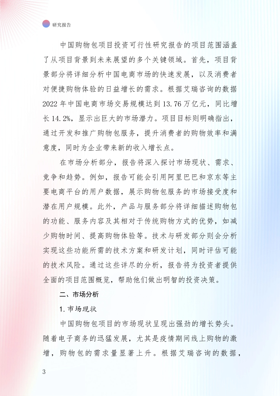 商业投资价值分析：中国2024年购物包行业市场现状及前景深入评估报告_第3页