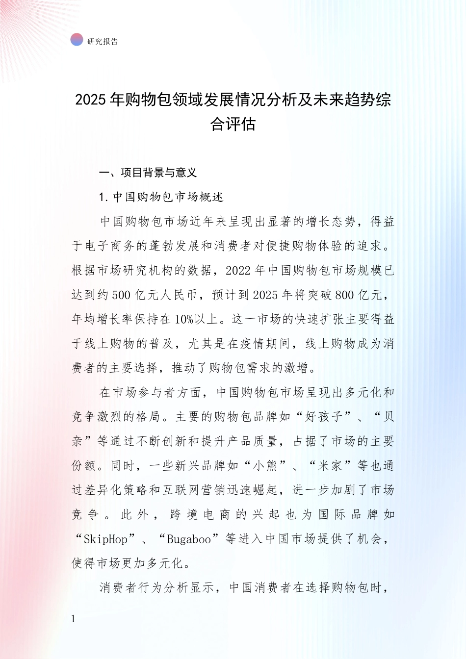 2025年购物包领域发展情况分析及未来趋势综合评估_第1页