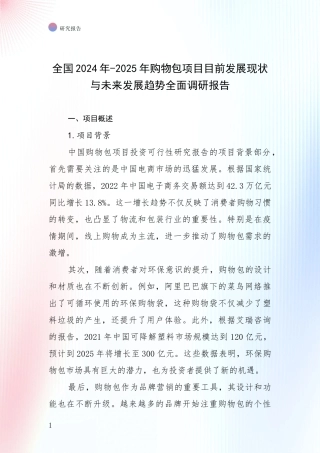 全国2024年-2025年购物包项目目前发展现状与未来发展趋势全面调研报告