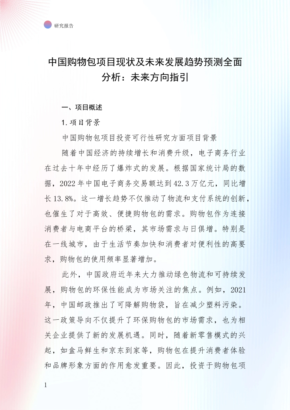 中国购物包项目现状及未来发展趋势预测全面分析：未来方向指引_第1页