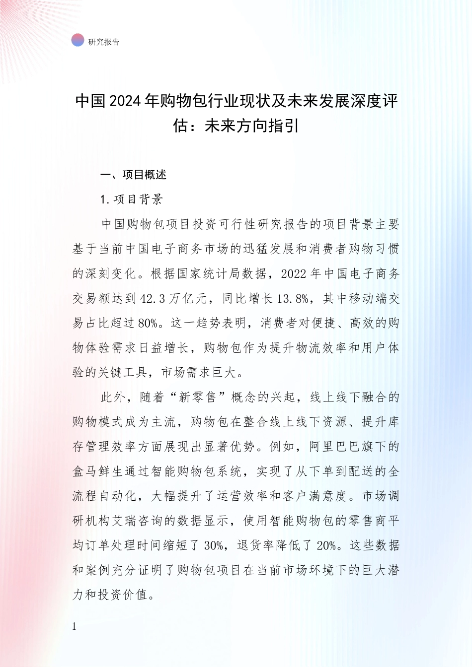 中国2024年购物包行业现状及未来发展深度评估：未来方向指引_第1页