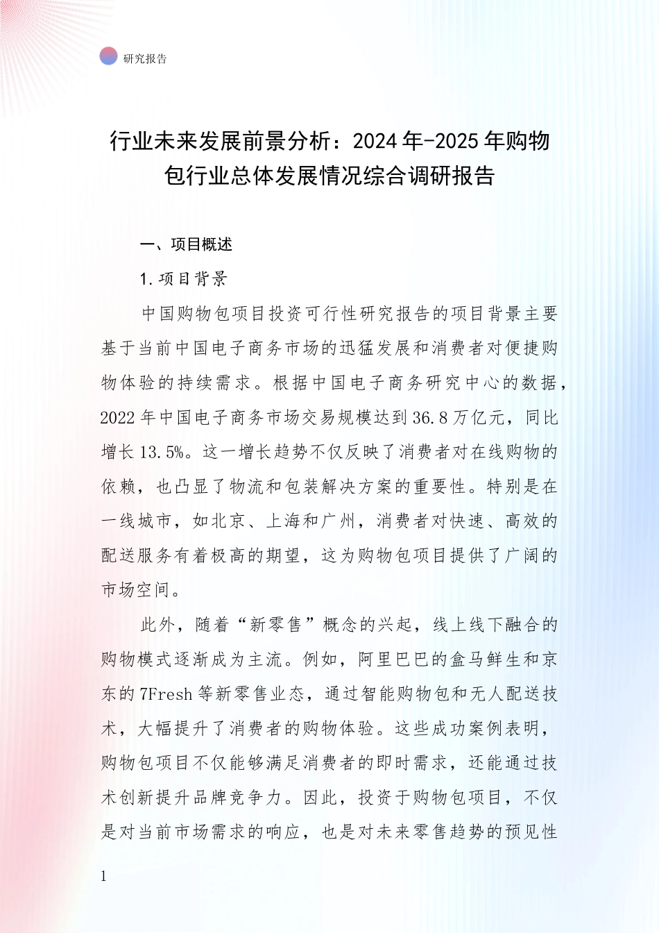 行业未来发展前景分析：2024年-2025年购物包行业总体发展情况综合调研报告_第1页