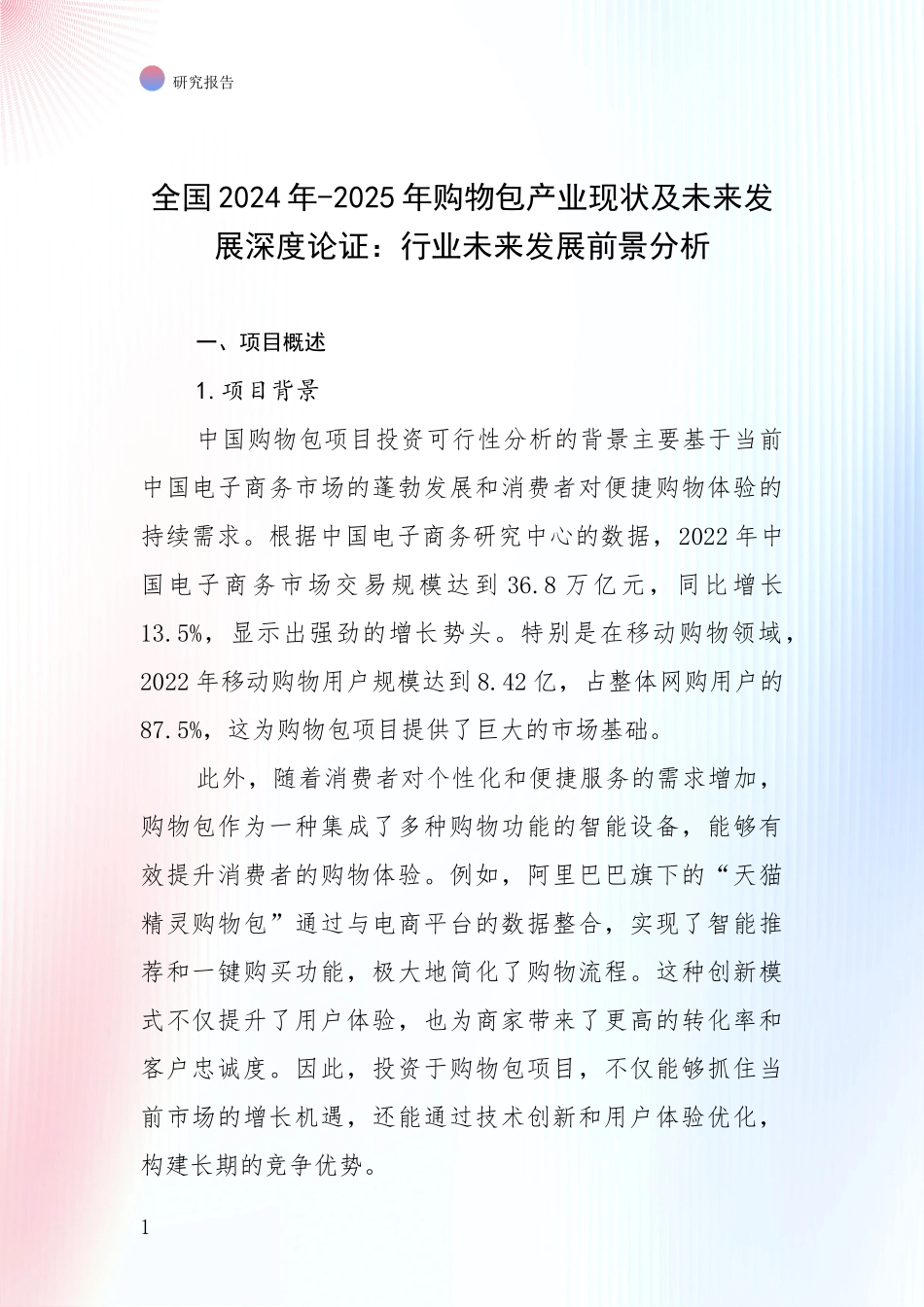 全国2024年-2025年购物包产业现状及未来发展深度论证：行业未来发展前景分析_第1页