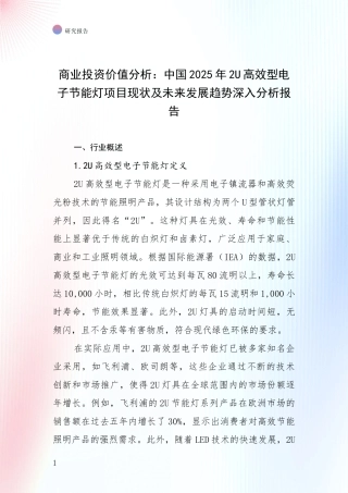 商业投资价值分析：中国2025年2U高效型电子节能灯项目现状及未来发展趋势深入分析报告