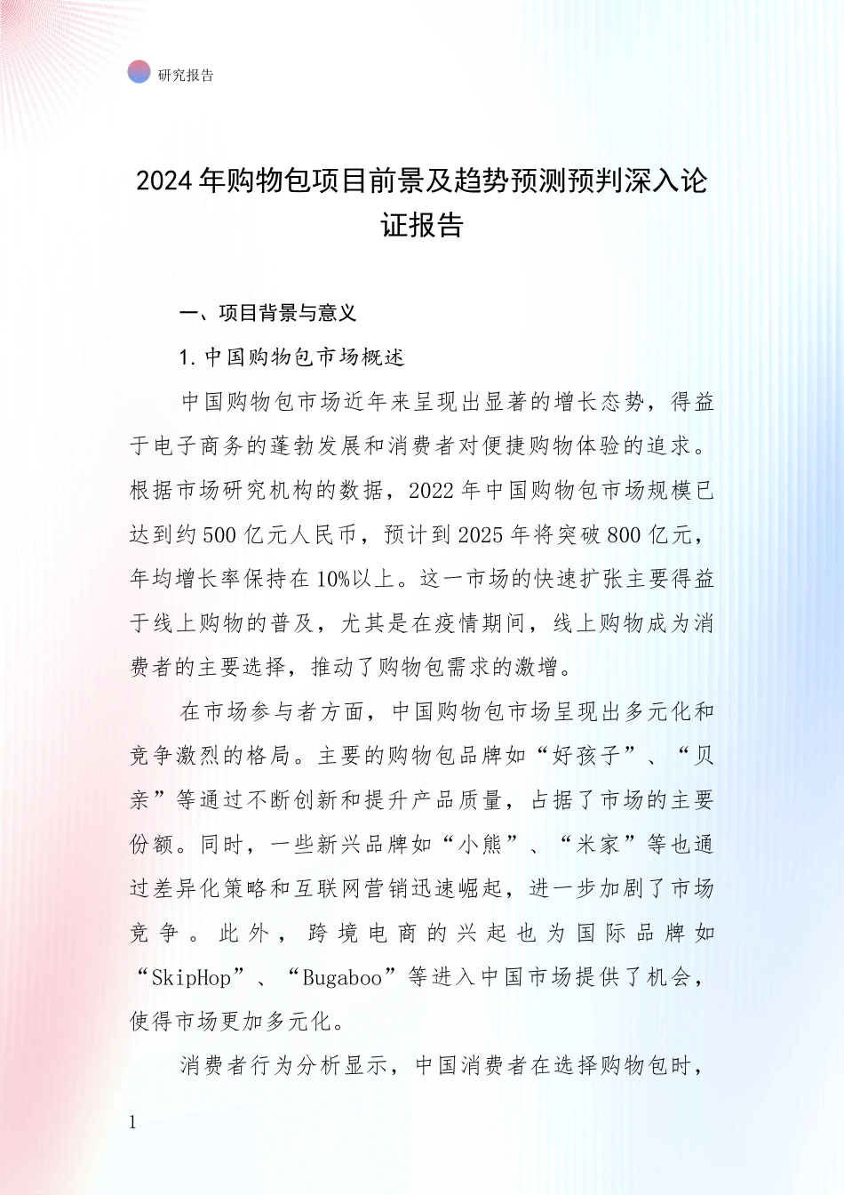 2024年购物包项目前景及趋势预测预判深入论证报告_第1页