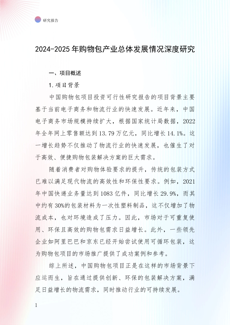 2024-2025年购物包产业总体发展情况深度研究_第1页