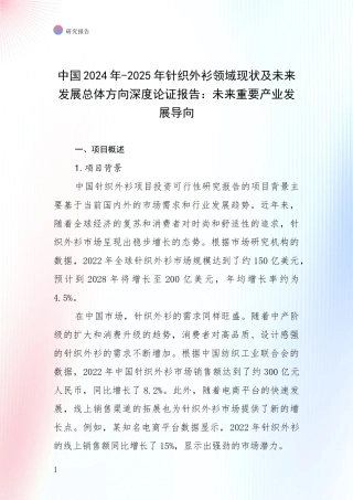 中国2024年-2025年针织外衫领域现状及未来发展总体方向深度论证报告：未来重要产业发展导向