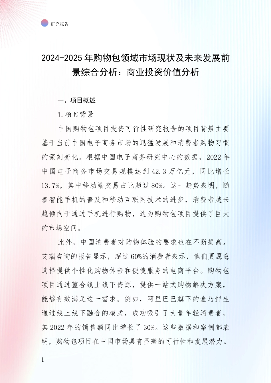 2024-2025年购物包领域市场现状及未来发展前景综合分析：商业投资价值分析_第1页