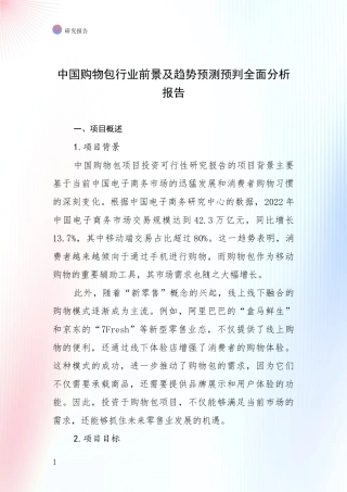 中国购物包行业前景及趋势预测预判全面分析报告