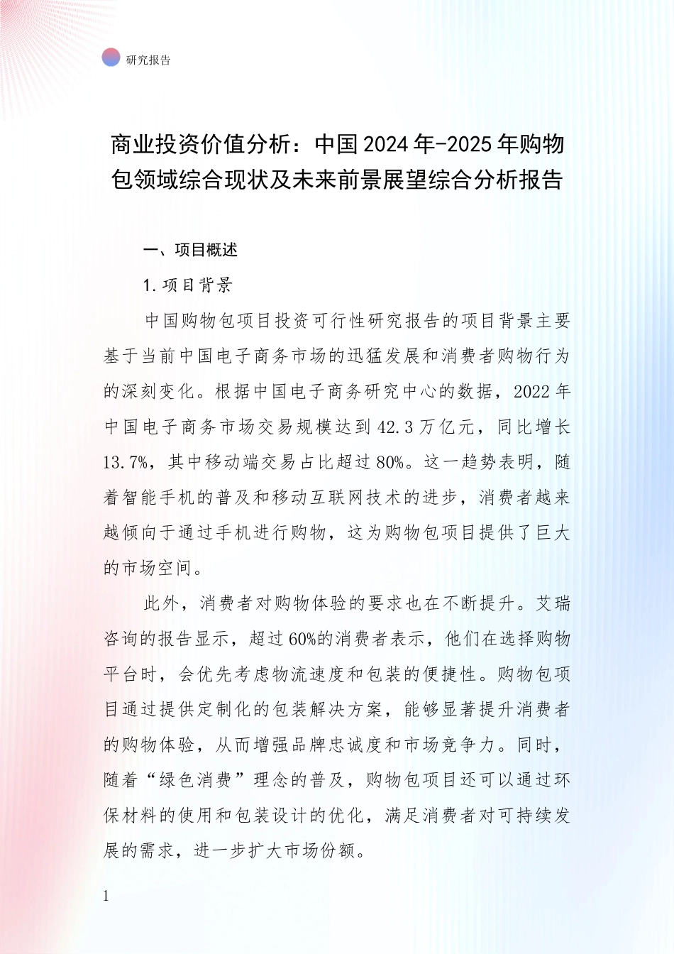 商业投资价值分析：中国2024年-2025年购物包领域综合现状及未来前景展望综合分析报告_第1页