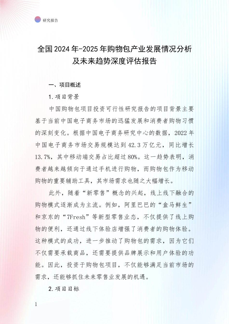 全国2024年-2025年购物包产业发展情况分析及未来趋势深度评估报告_第1页
