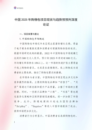 中国2025年购物包项目现状与趋势预预判深度论证