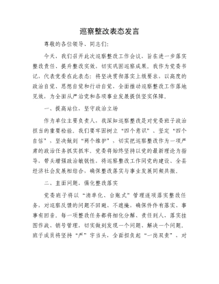 巡察整改表态发言