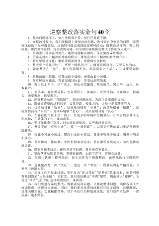 巡察整改落实金句40例