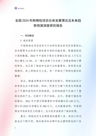 全国2024年购物包项目总体发展情况及未来趋势预测深度研究报告