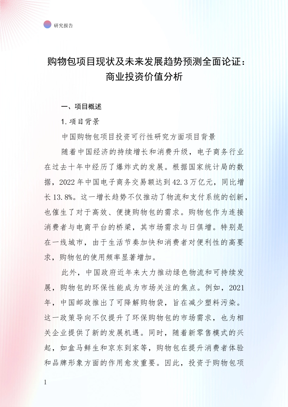 购物包项目现状及未来发展趋势预测全面论证：商业投资价值分析_第1页