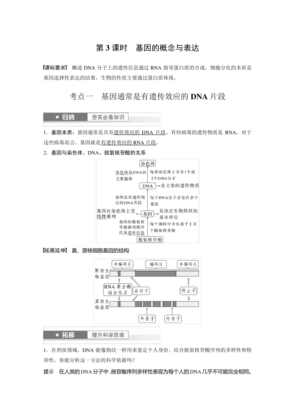 2024届高考一轮复习生物教案(新教材人教版鲁湘辽)：基因的概念与表达_第1页