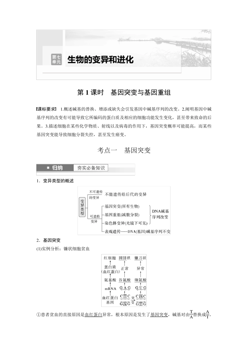 2024届高考一轮复习生物教案(新教材人教版鲁湘辽)：基因突变与基因重组_第1页