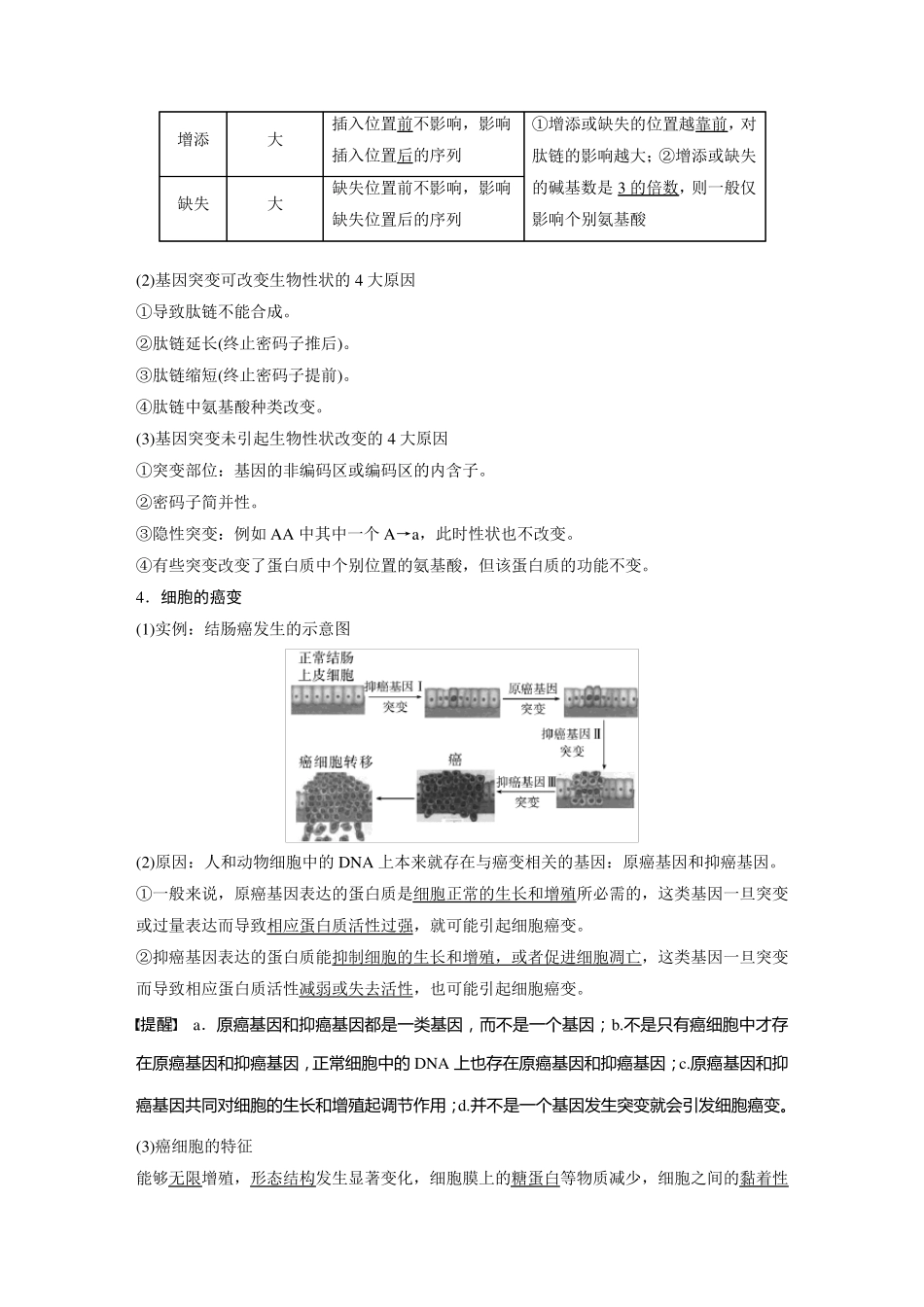 2024届高考一轮复习生物教案(新教材人教版鲁湘辽)：基因突变与基因重组_第3页