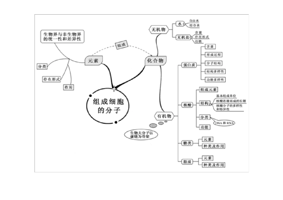 ()高中生物知识思维导图_第1页