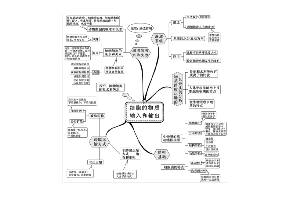 ()高中生物知识思维导图_第3页