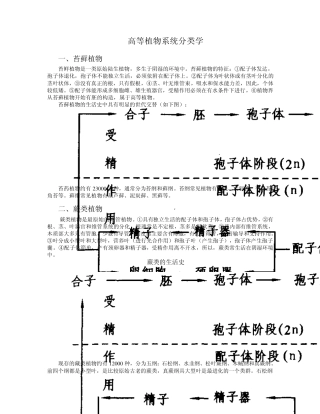 00高等植物系统分类学