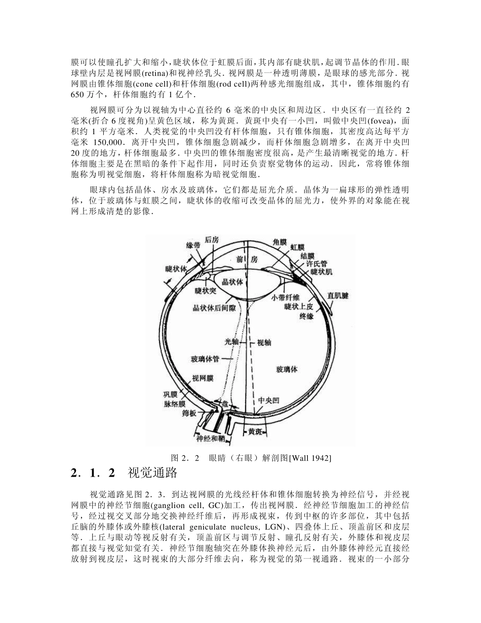02人类视觉(第2章)_第2页
