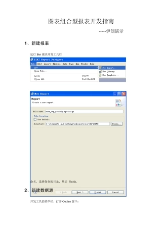05Birt工具图表组合型报表开发手册