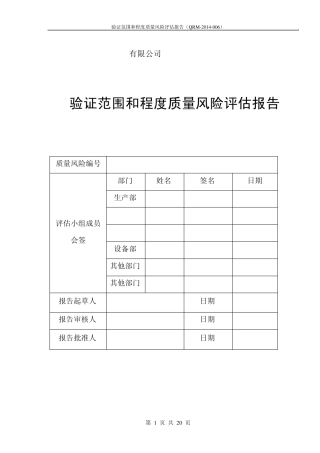 06验证范围和程度的风险评估报告