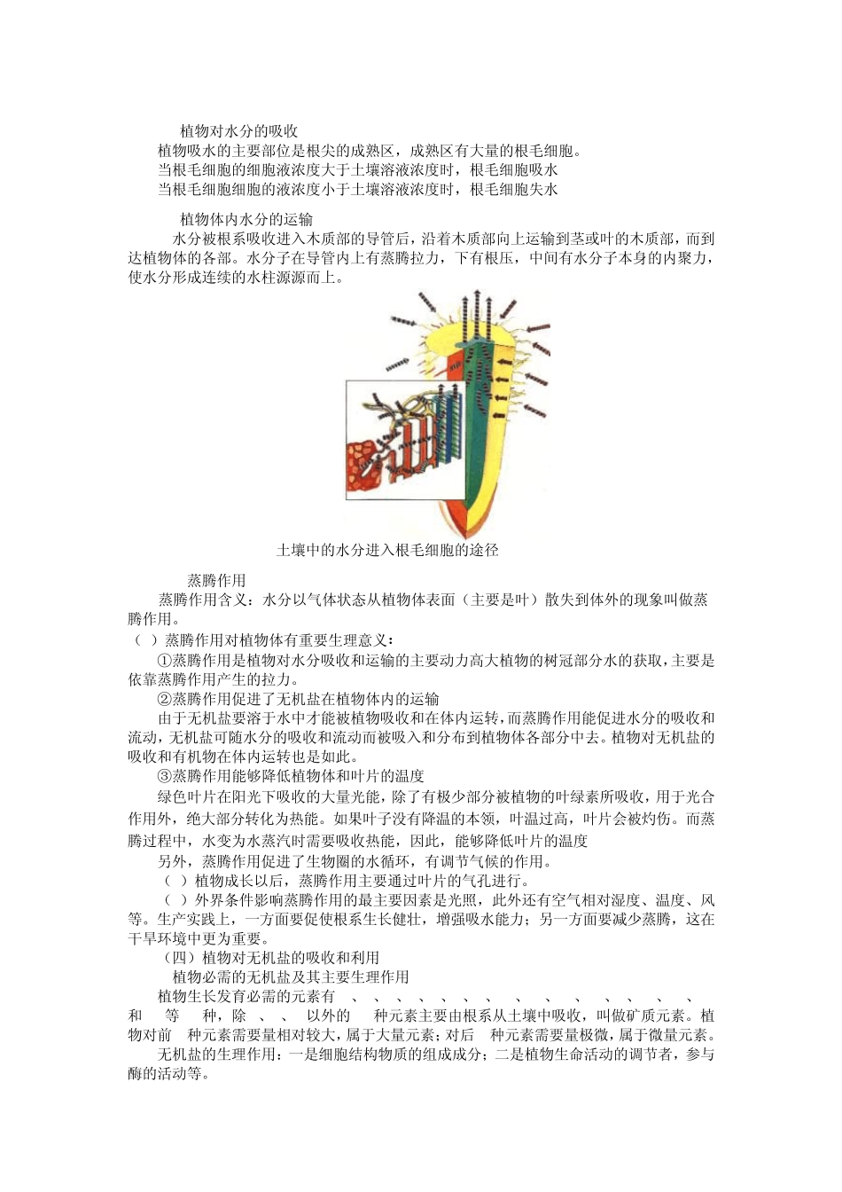 07第二章生物的新陈代谢_第2页