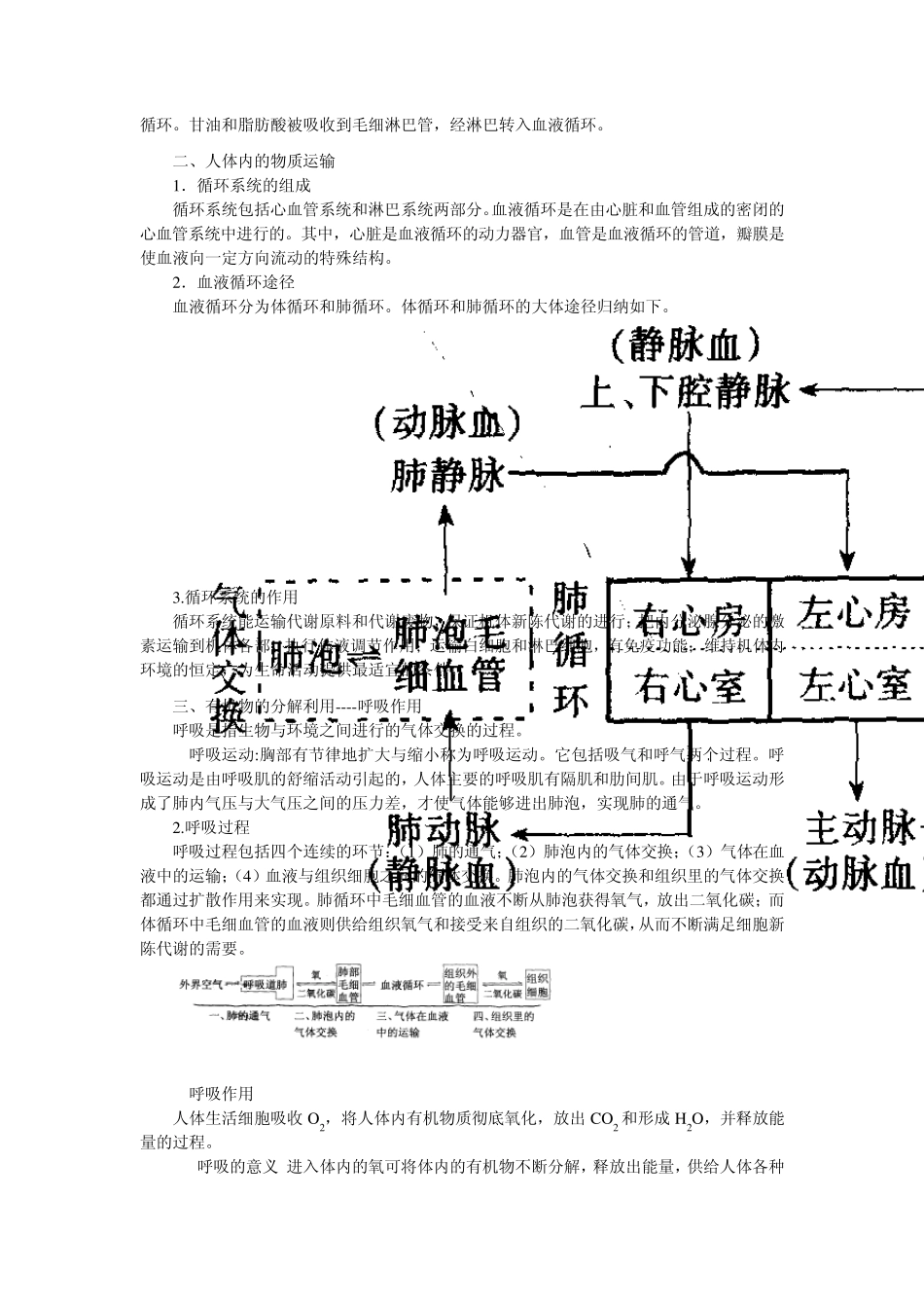 08第二章生物的新陈代谢_第2页