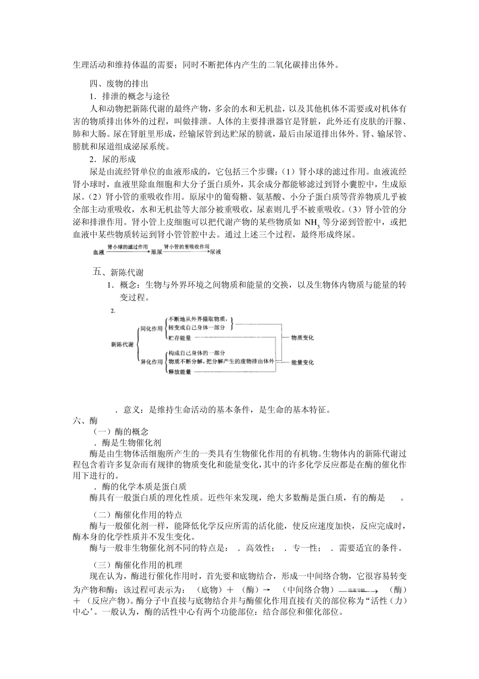 08第二章生物的新陈代谢_第3页