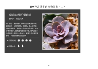 100种常见多肉植物图鉴