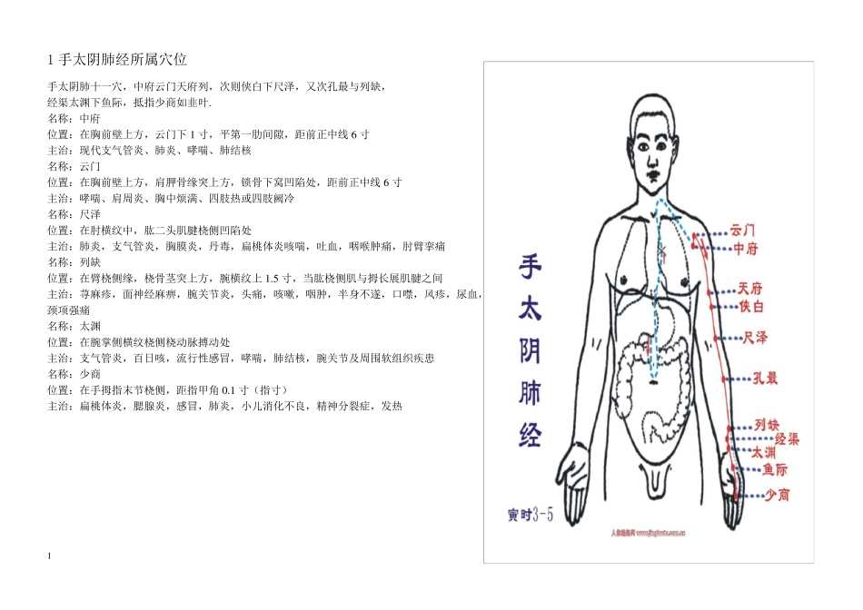 12经络所属穴位定位及功效_第1页