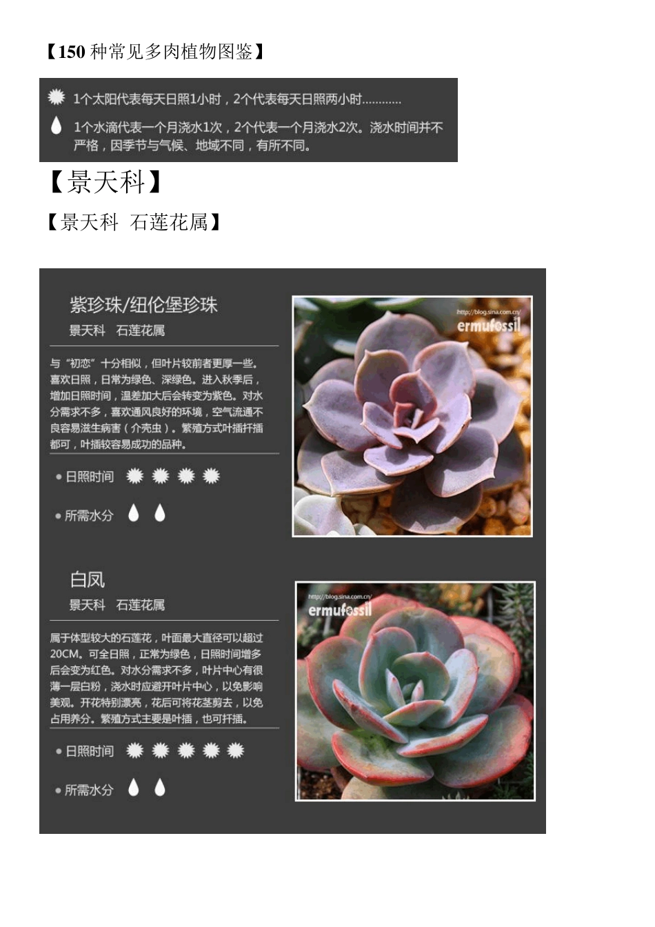 150种常见多肉植物图鉴_第1页