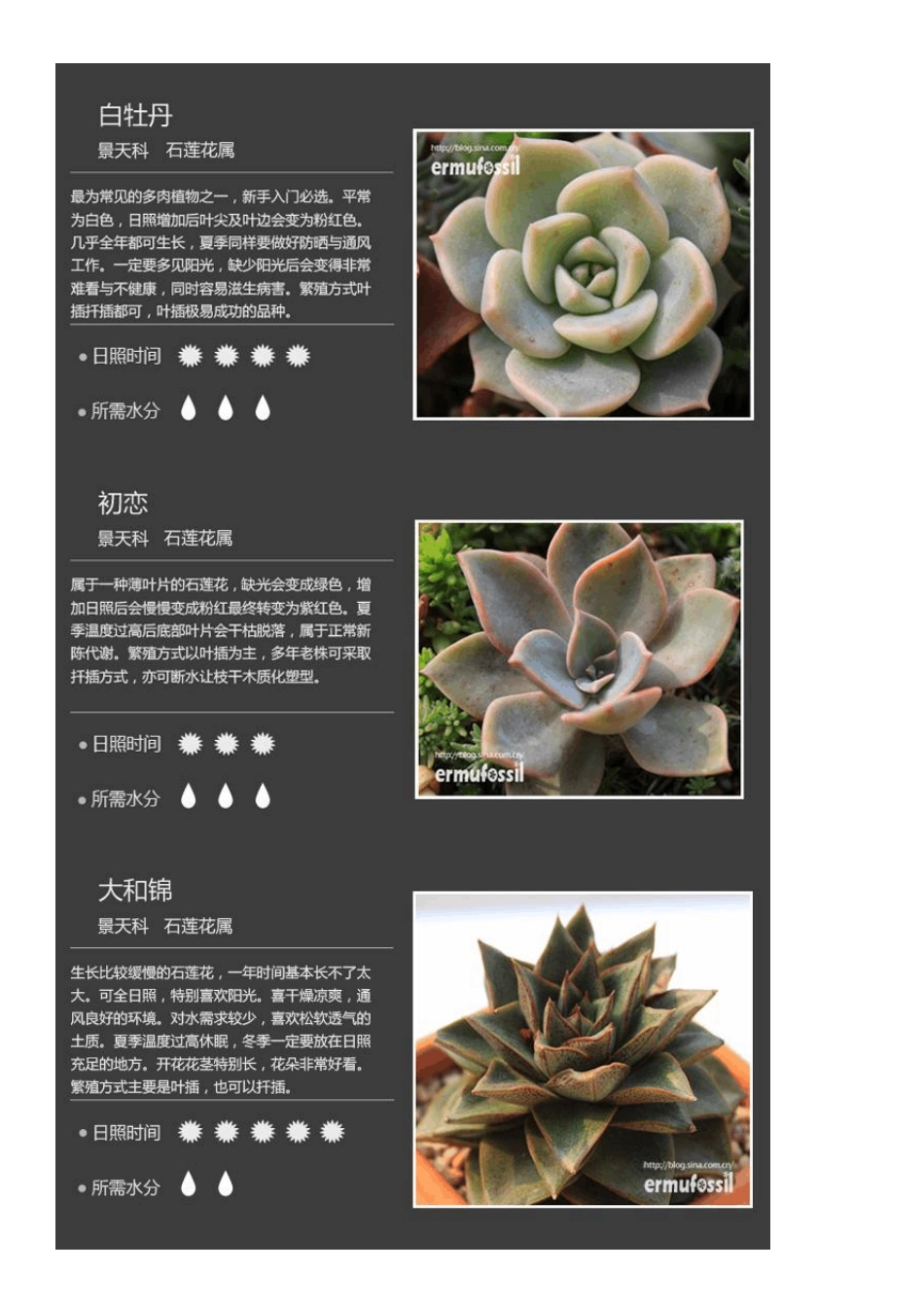 150种常见多肉植物图鉴_第2页