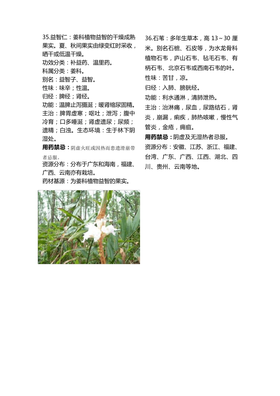 175种常用中药大全(有彩图2)3573_第1页