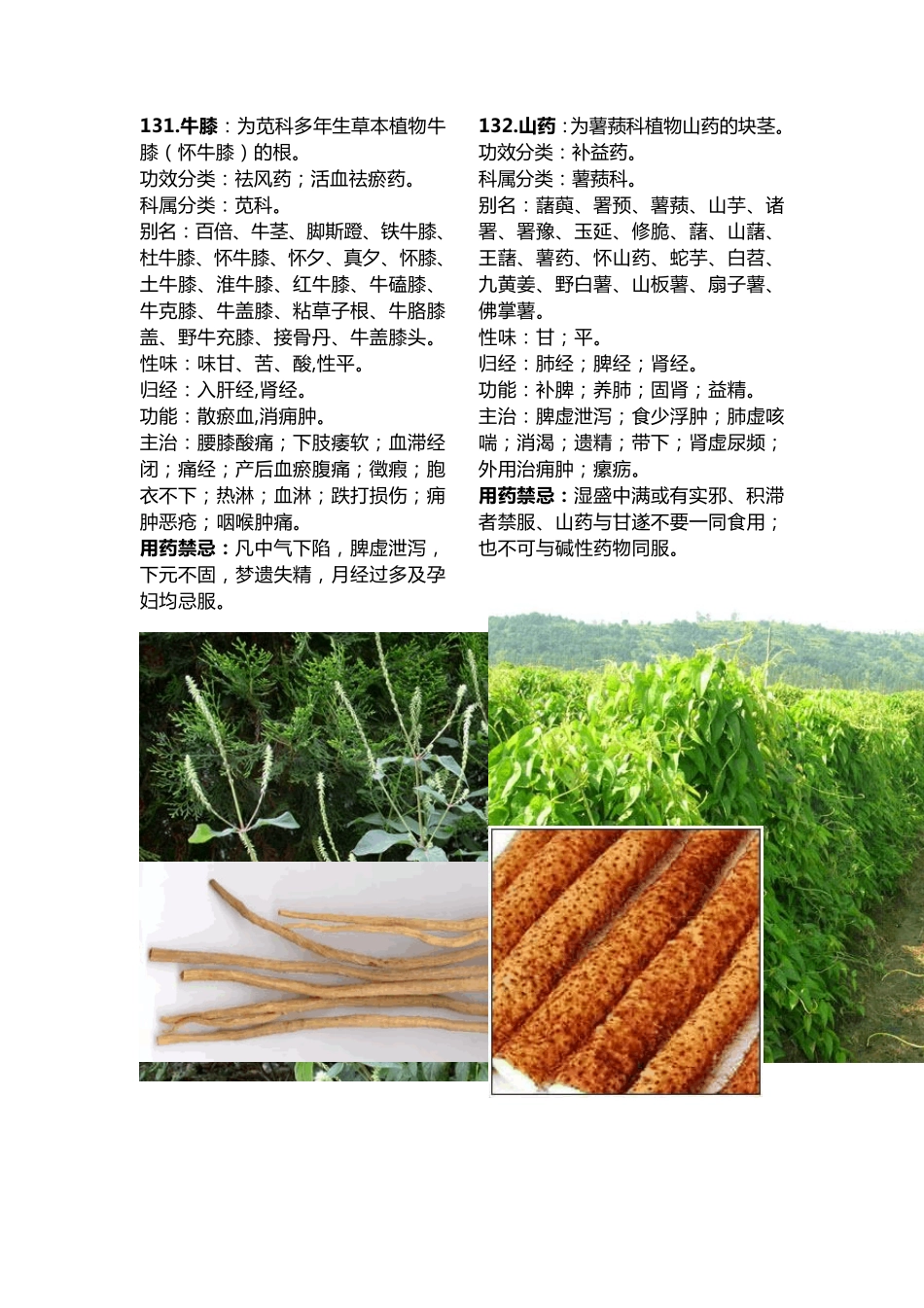 175种常用中药材大全_第1页