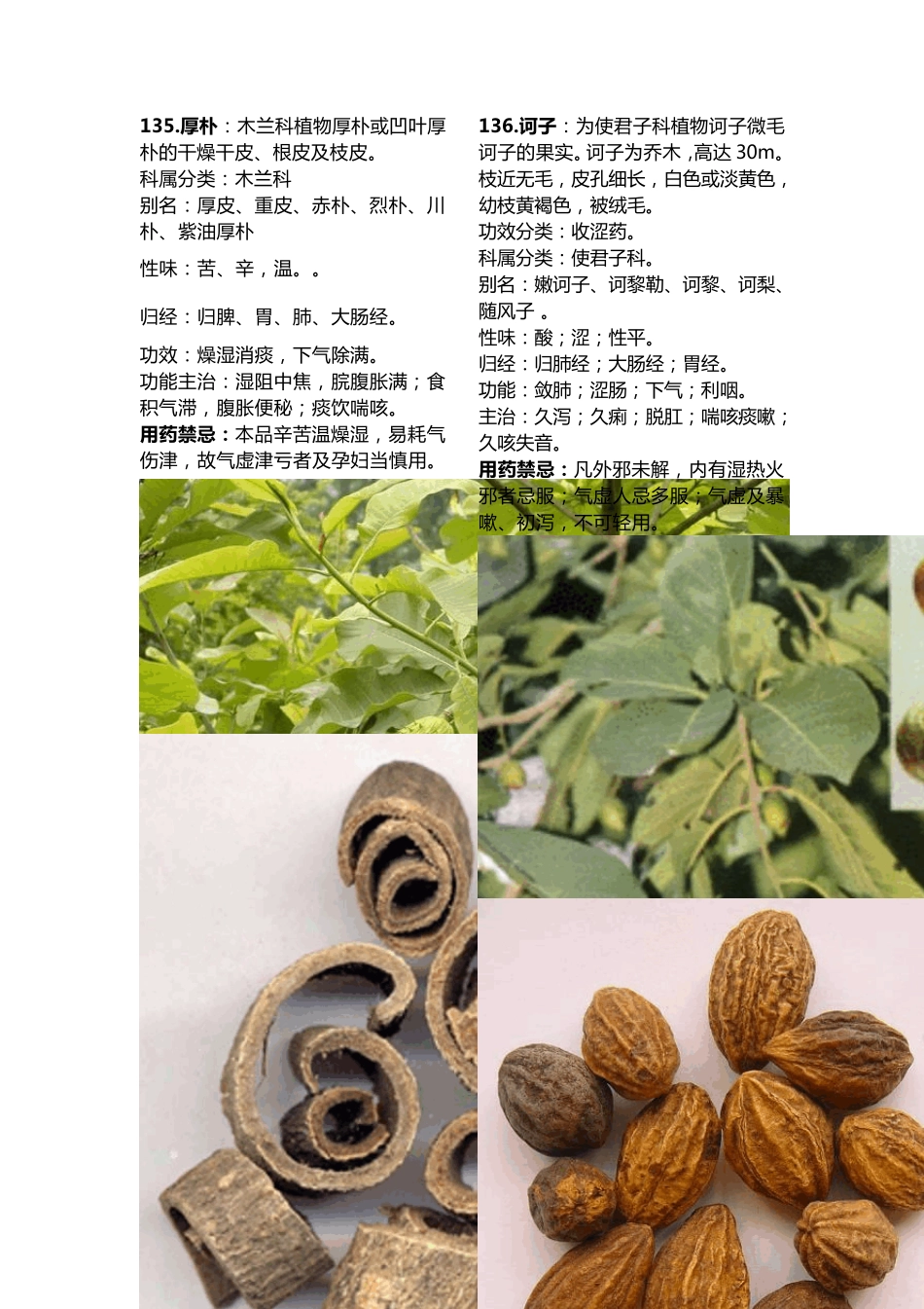 175种常用中药材大全_第3页