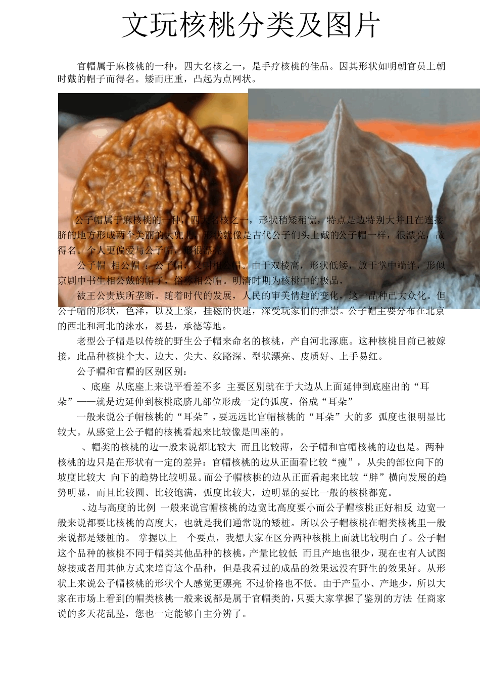 17文玩核桃分类及图片_第1页