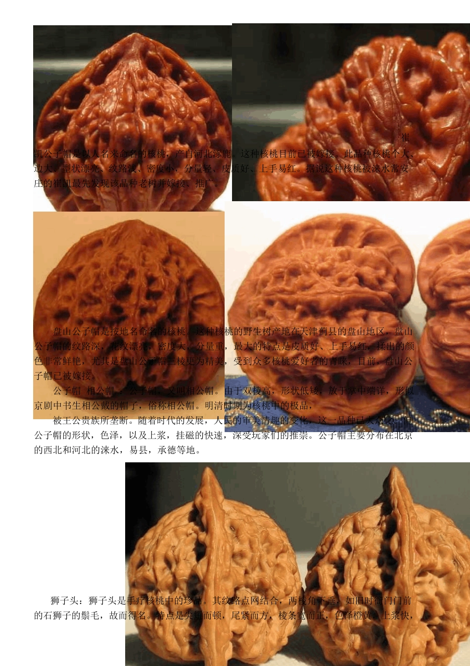 17文玩核桃分类及图片_第2页