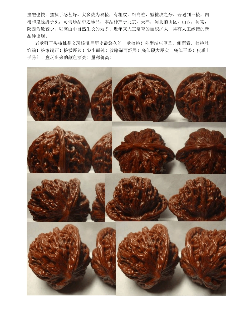 17文玩核桃分类及图片_第3页