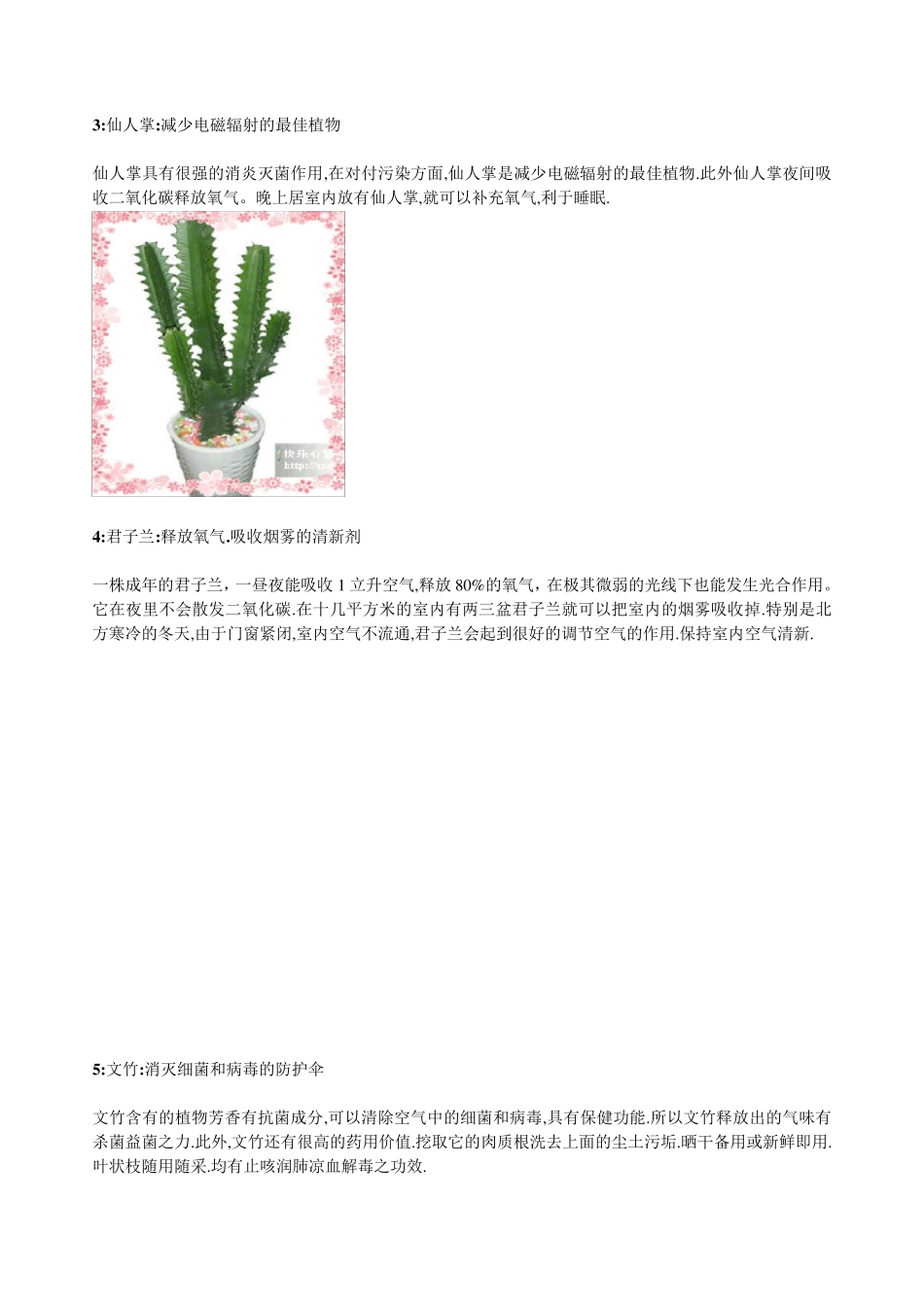 18种常见室内绿植_第2页