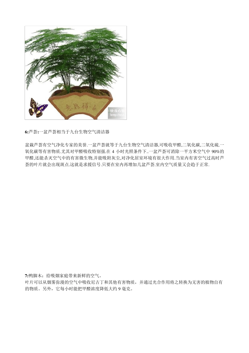 18种常见室内绿植_第3页