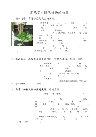 18种常见室内绿色植物的功效