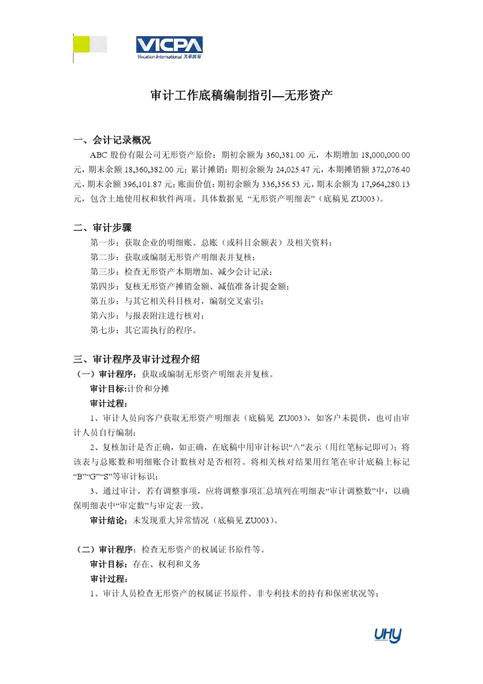 19审计工作底稿编制指引无形资产_第1页